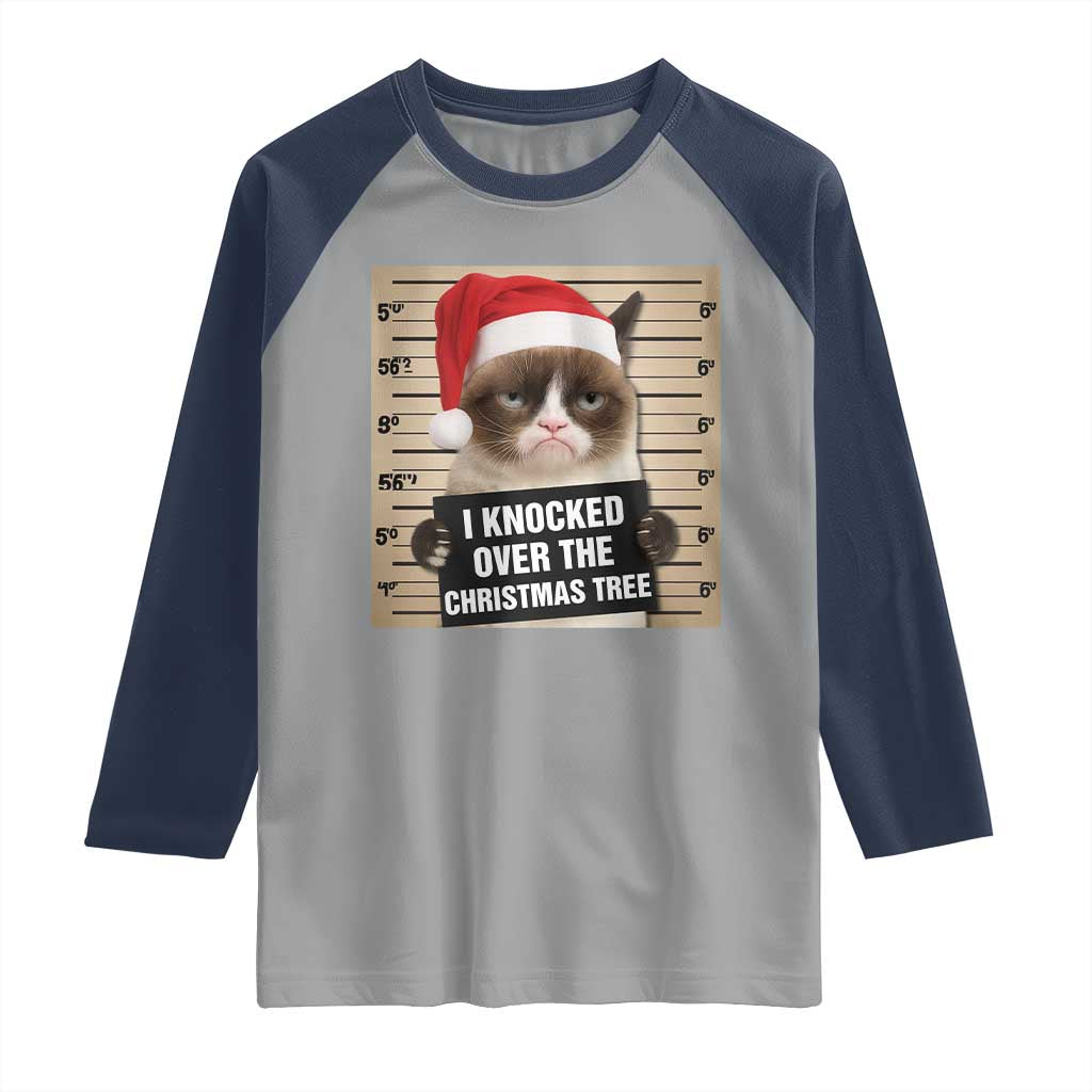 Funny Cat Mugshot Christmas Raglan Shirt I Will Protect You Kitten No Matter What TS14 Sport Gray Navy Print Your Wear