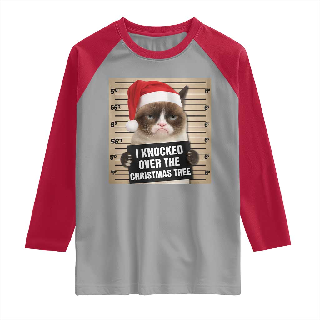 Funny Cat Mugshot Christmas Raglan Shirt I Will Protect You Kitten No Matter What TS14 Sport Gray Red Print Your Wear