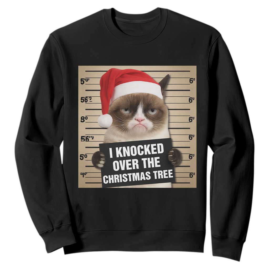 Funny Cat Mugshot Christmas Sweatshirt I Will Protect You Kitten No Matter What TS14 Black Print Your Wear