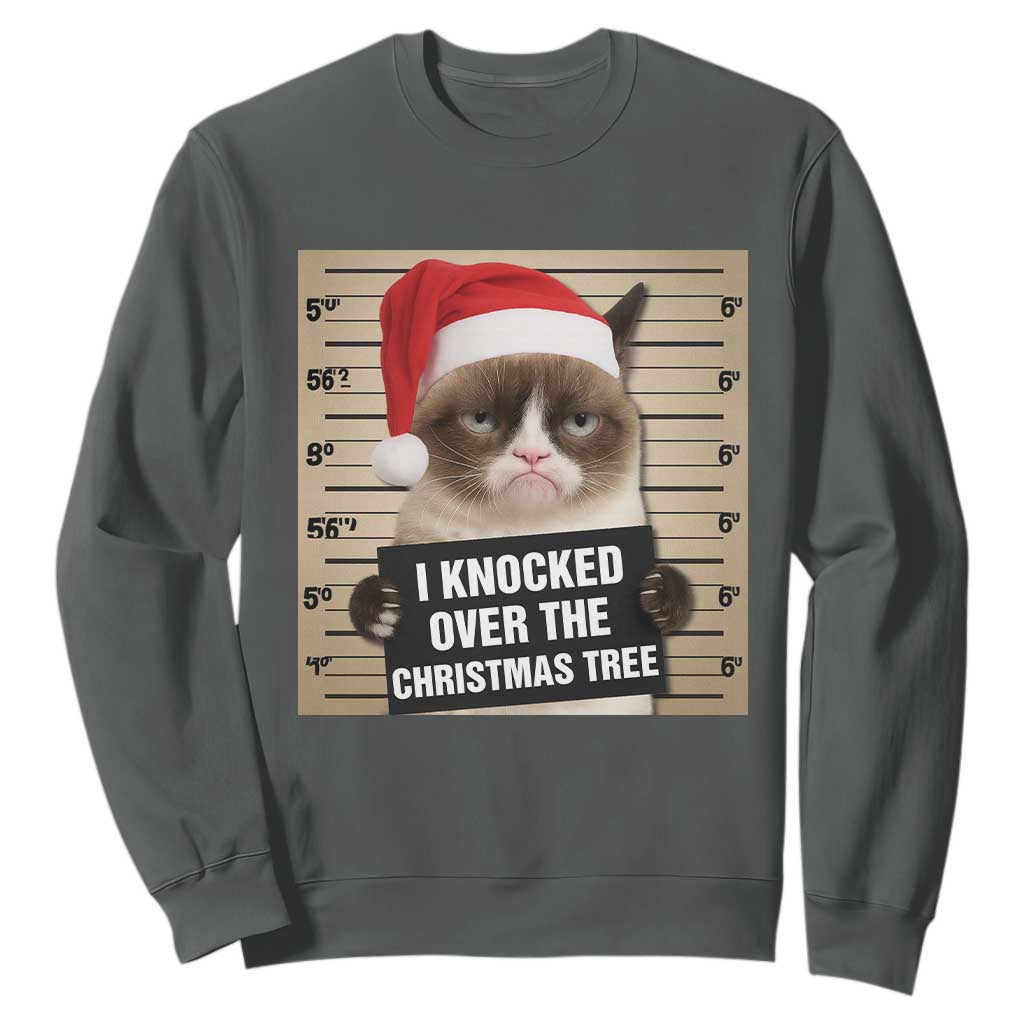 Funny Cat Mugshot Christmas Sweatshirt I Will Protect You Kitten No Matter What TS14 Dark Heather Print Your Wear