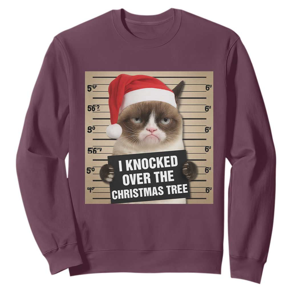 Funny Cat Mugshot Christmas Sweatshirt I Will Protect You Kitten No Matter What TS14 Maroon Print Your Wear