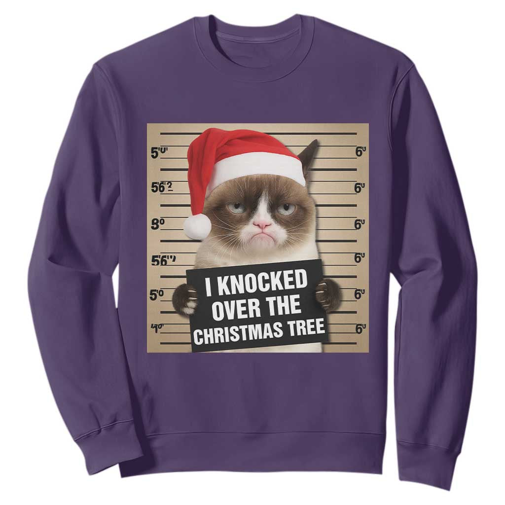 Funny Cat Mugshot Christmas Sweatshirt I Will Protect You Kitten No Matter What TS14 Purple Print Your Wear