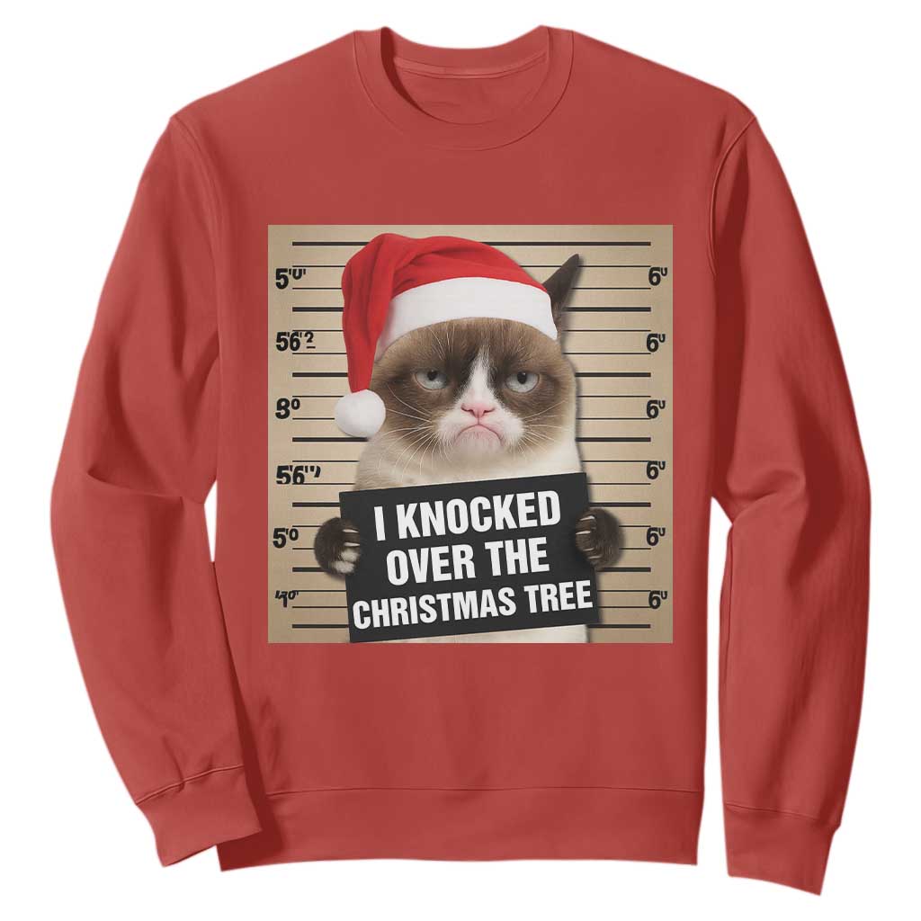 Funny Cat Mugshot Christmas Sweatshirt I Will Protect You Kitten No Matter What TS14 Red Print Your Wear