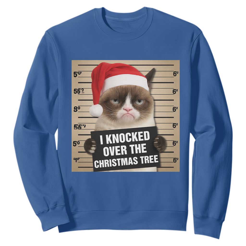 Funny Cat Mugshot Christmas Sweatshirt I Will Protect You Kitten No Matter What TS14 Royal Blue Print Your Wear