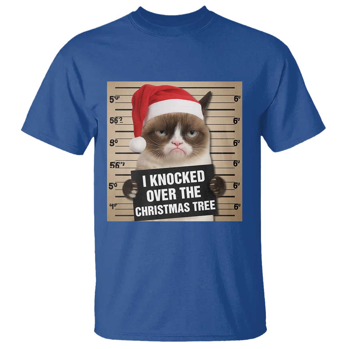 Funny Cat Mugshot Christmas T Shirt I Will Protect You Kitten No Matter What TS14 Royal Blue Print Your Wear