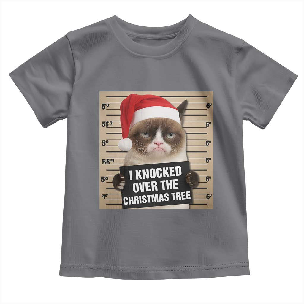 Funny Cat Mugshot Christmas Toddler T Shirt I Will Protect You Kitten No Matter What TS14 Charcoal Print Your Wear