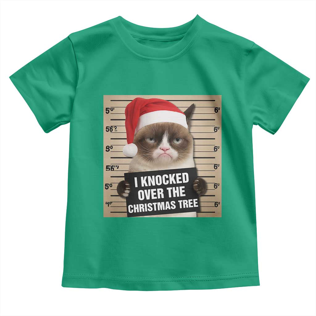 Funny Cat Mugshot Christmas Toddler T Shirt I Will Protect You Kitten No Matter What TS14 Irish Green Print Your Wear