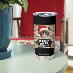 Funny Cat Mugshot Christmas Tumbler Cup I Will Protect You Kitten No Matter What TS14 Print Your Wear