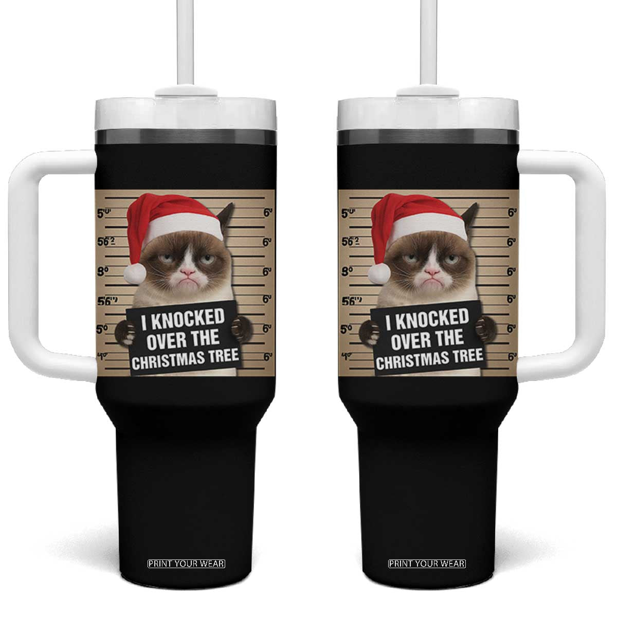 Funny Cat Mugshot Christmas Tumbler With Handle I Will Protect You Kitten No Matter What TS14 One Size: 40 oz Black Print Your Wear