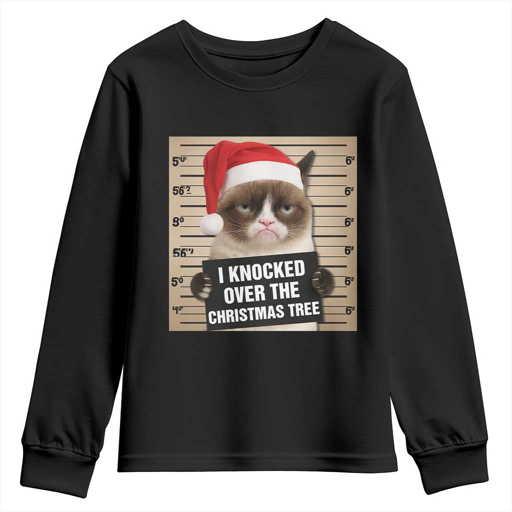 Funny Cat Mugshot Christmas Youth Sweatshirt I Will Protect You Kitten No Matter What TS14 Black Print Your Wear