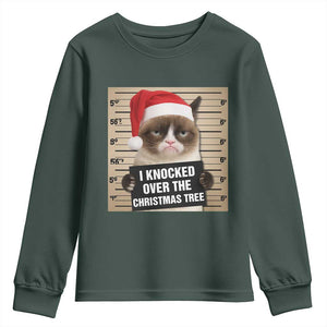 Funny Cat Mugshot Christmas Youth Sweatshirt I Will Protect You Kitten No Matter What TS14 Dark Forest Green Print Your Wear