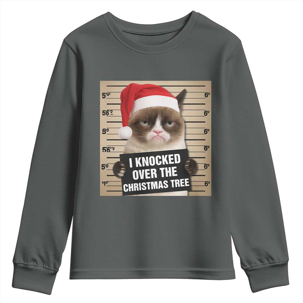 Funny Cat Mugshot Christmas Youth Sweatshirt I Will Protect You Kitten No Matter What TS14 Dark Heather Print Your Wear
