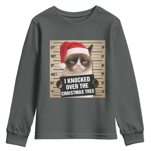 Funny Cat Mugshot Christmas Youth Sweatshirt I Will Protect You Kitten No Matter What TS14 Dark Heather Print Your Wear