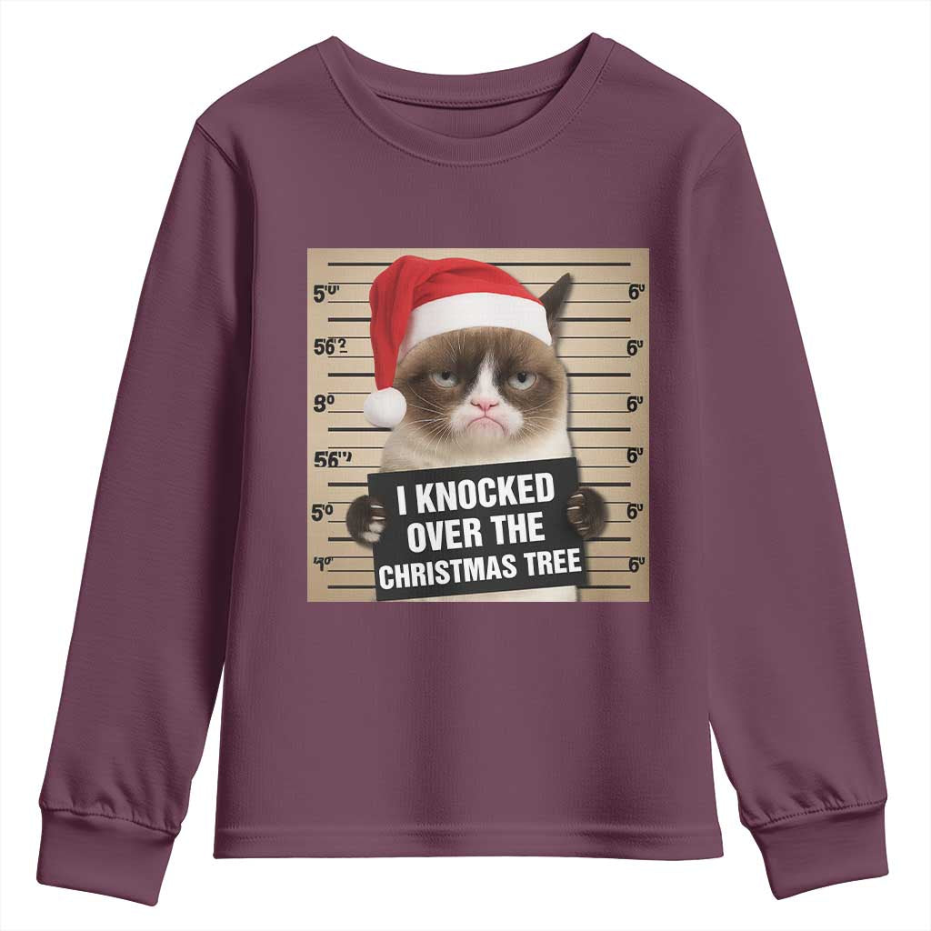 Funny Cat Mugshot Christmas Youth Sweatshirt I Will Protect You Kitten No Matter What TS14 Maroon Print Your Wear