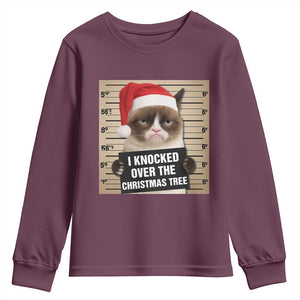 Funny Cat Mugshot Christmas Youth Sweatshirt I Will Protect You Kitten No Matter What TS14 Maroon Print Your Wear