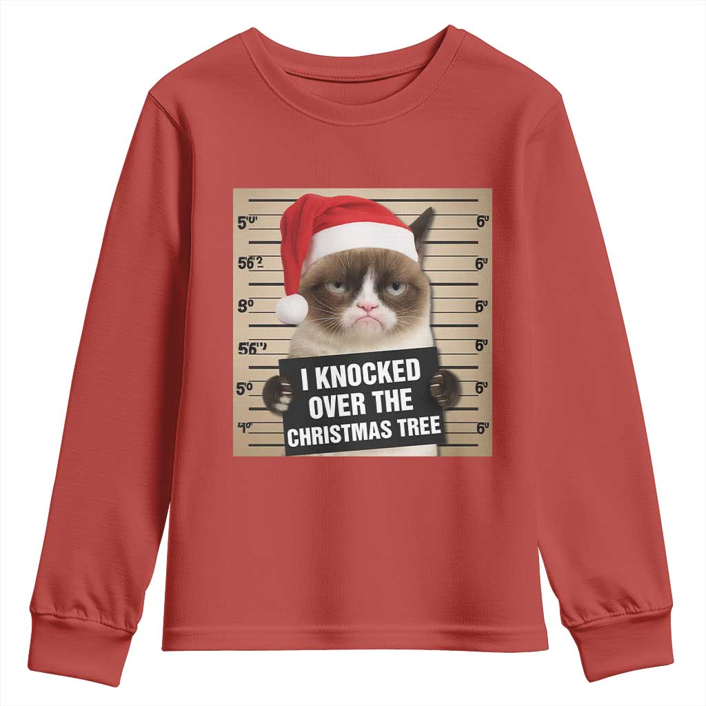 Funny Cat Mugshot Christmas Youth Sweatshirt I Will Protect You Kitten No Matter What TS14 Red Print Your Wear