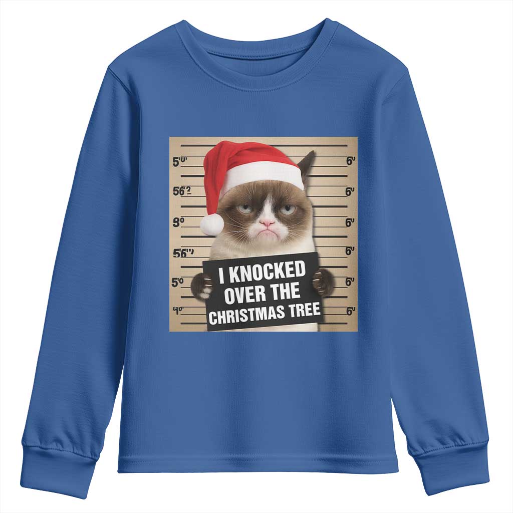Funny Cat Mugshot Christmas Youth Sweatshirt I Will Protect You Kitten No Matter What TS14 Royal Blue Print Your Wear
