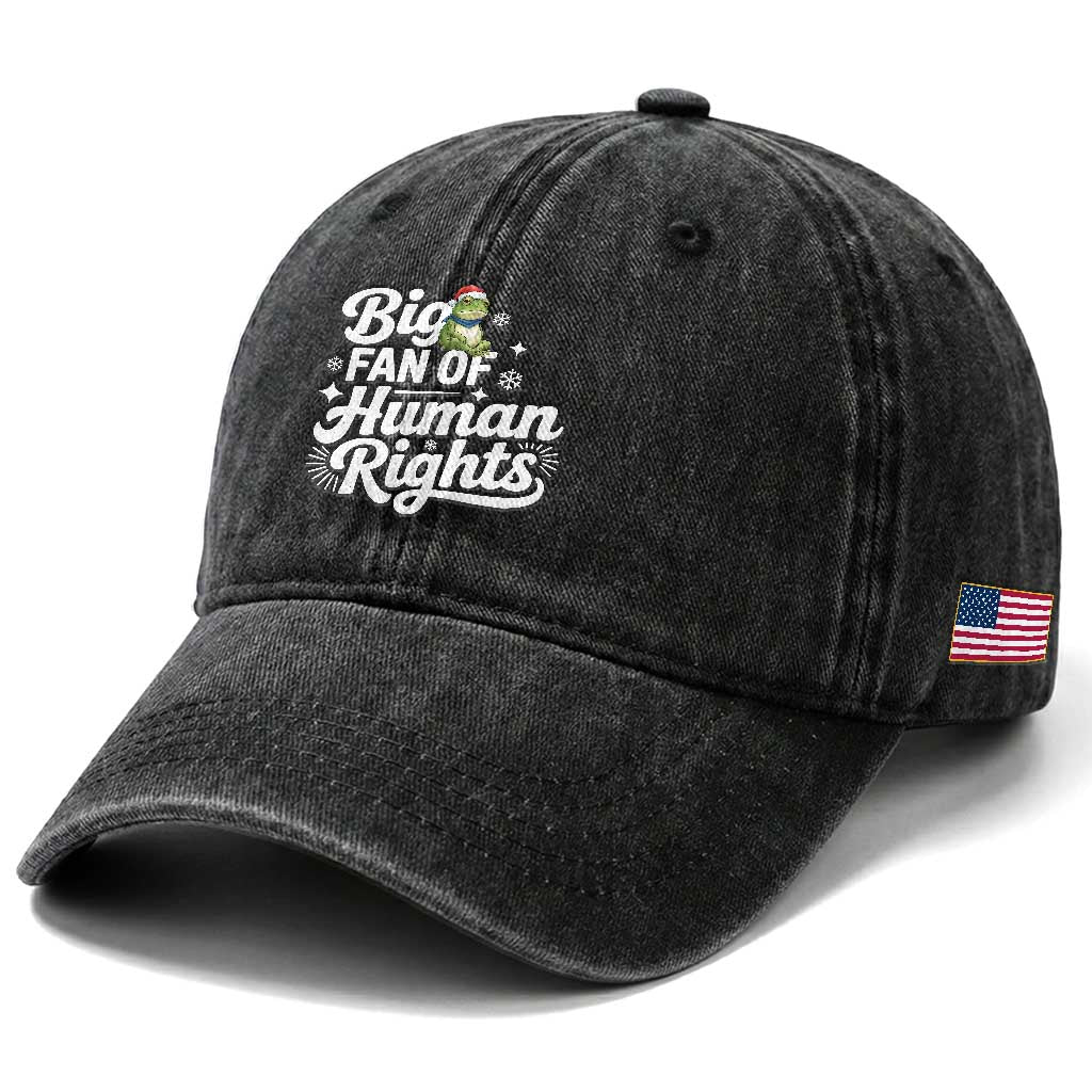 Resist Frog Christmas Washed Cotton Baseball Cap Big Fan Of Human Rights Political Meme TS14 Print Your Wear