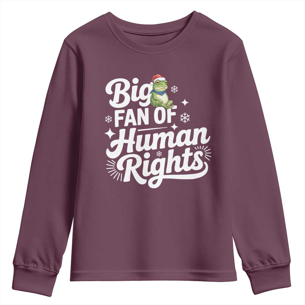 Resist Frog Christmas Youth Sweatshirt Big Fan Of Human Rights Political Meme TS14 Maroon Print Your Wear