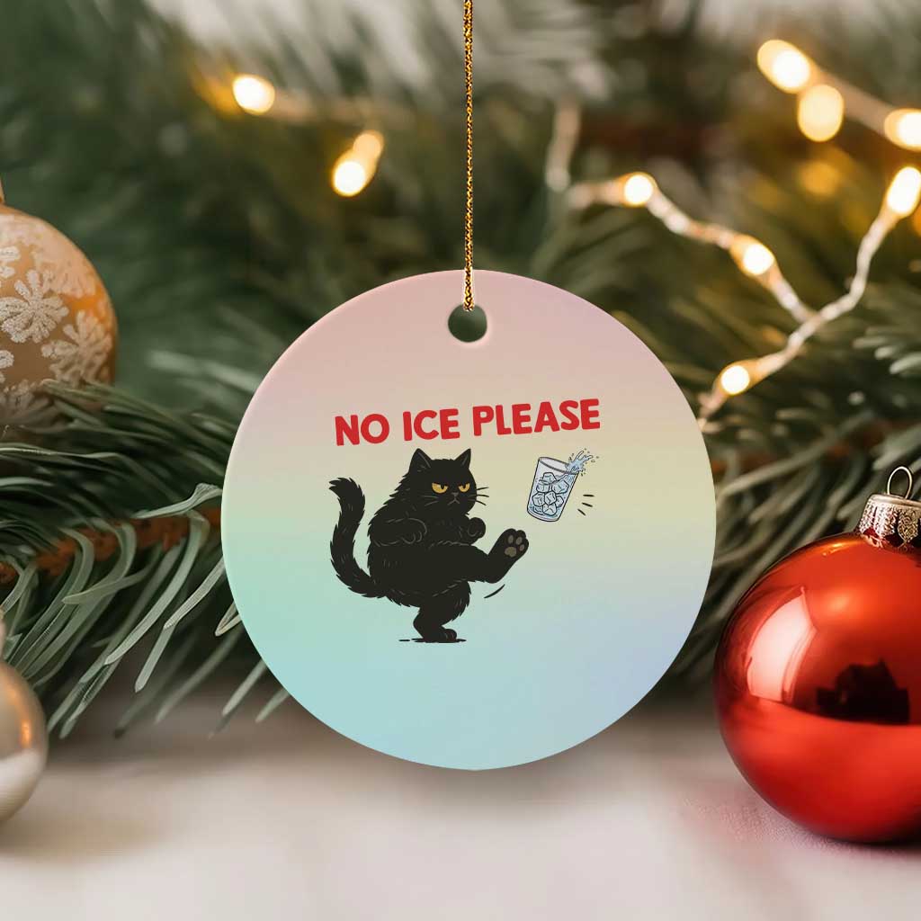 No Ice Please Ceramic Ornament Funny Black Cat Abolish ICE Meme Protest TS14 1pc Pastel Print Your Wear