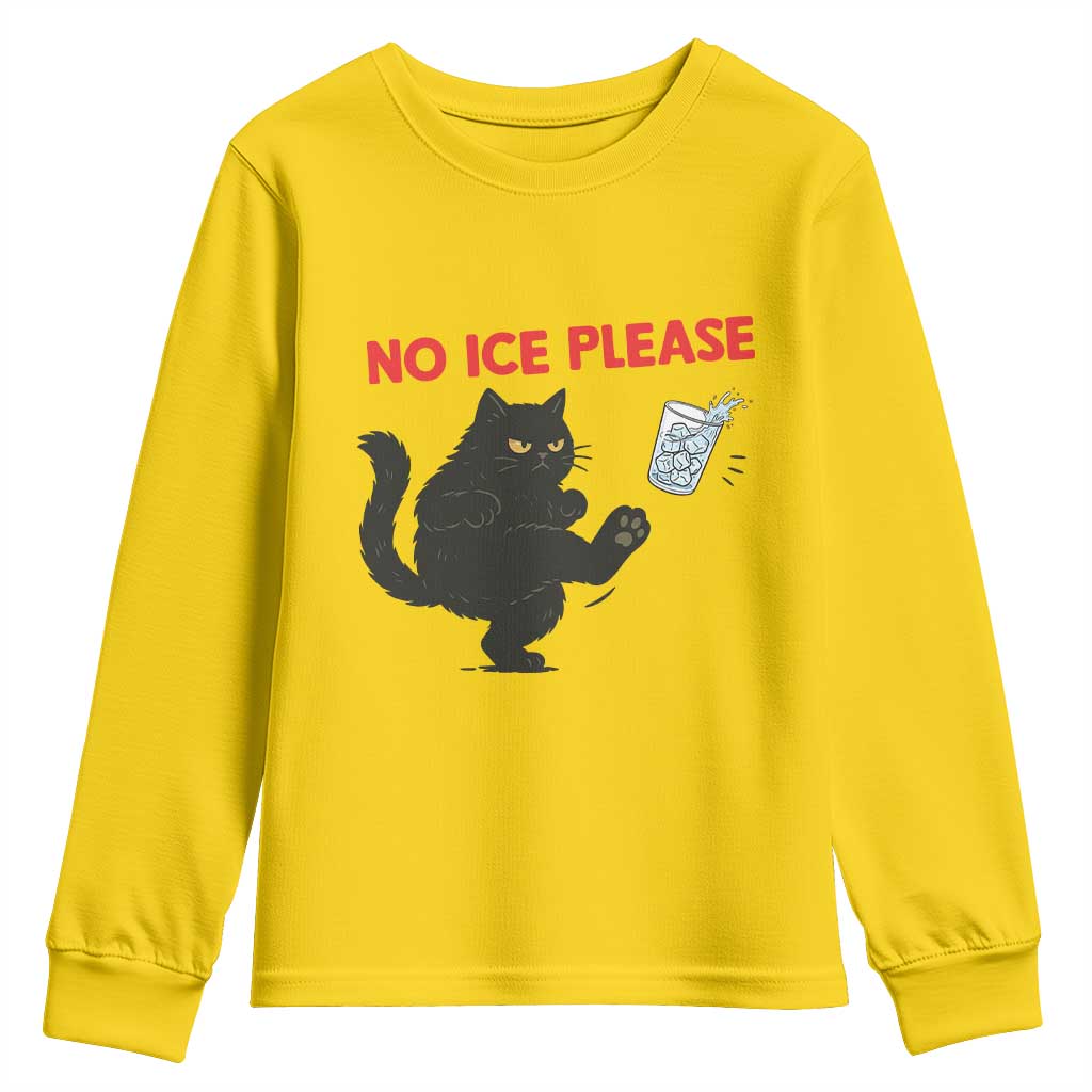 No Ice Please Youth Sweatshirt Funny Black Cat Abolish ICE Meme Protest TS14 Daisy Print Your Wear