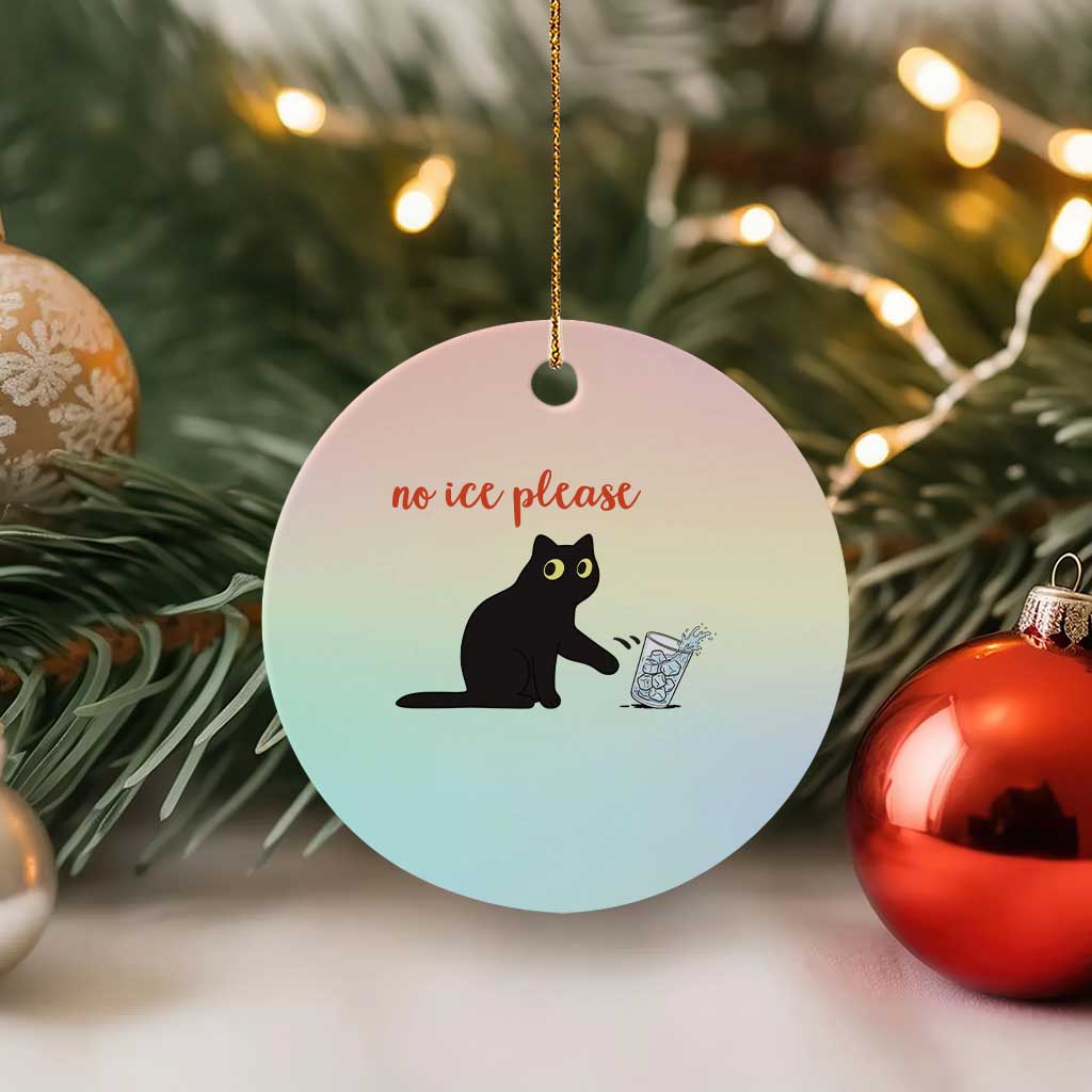 No Ice Please Ceramic Ornament Funny Cat Abolish ICE Meme Protest TS14 1pc Pastel Print Your Wear