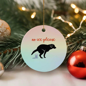 No Ice Please Ceramic Ornament Funny Dog Anti ICE Meme TS14 1pc Pastel Print Your Wear