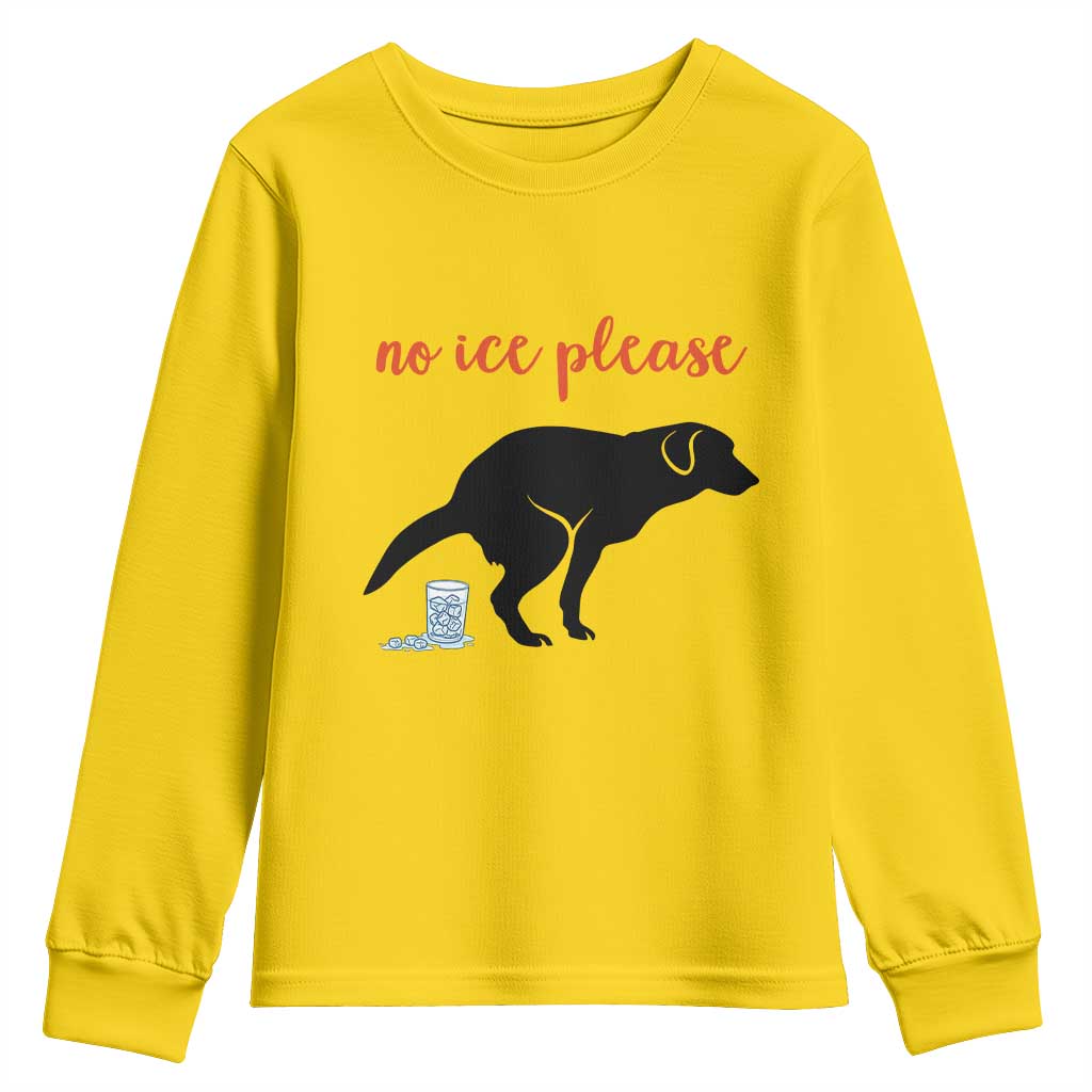 No Ice Please Youth Sweatshirt Funny Dog Anti ICE Meme TS14 Daisy Print Your Wear