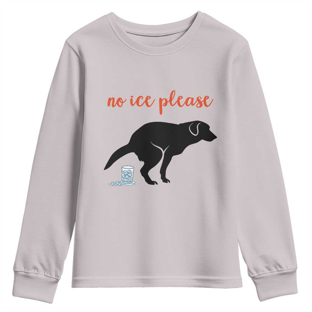 No Ice Please Youth Sweatshirt Funny Dog Anti ICE Meme TS14 Ice Gray Print Your Wear