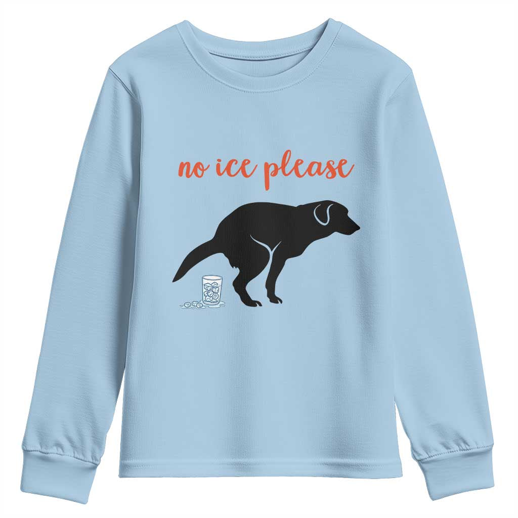 No Ice Please Youth Sweatshirt Funny Dog Anti ICE Meme TS14 Light Blue Print Your Wear