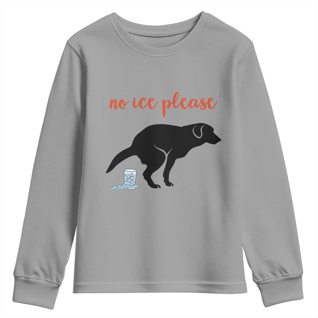 No Ice Please Youth Sweatshirt Funny Dog Anti ICE Meme TS14 Sport Gray Print Your Wear