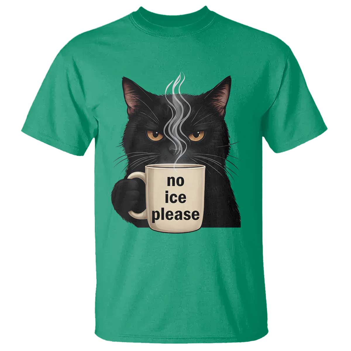 No Ice Please T Shirt Funny Black Cat Anti ICE Meme TS14 Irish Green Print Your Wear