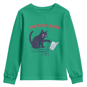 No Ice Please Youth Sweatshirt Funny Cat Anti ICE Meme TS14 Irish Green Print Your Wear
