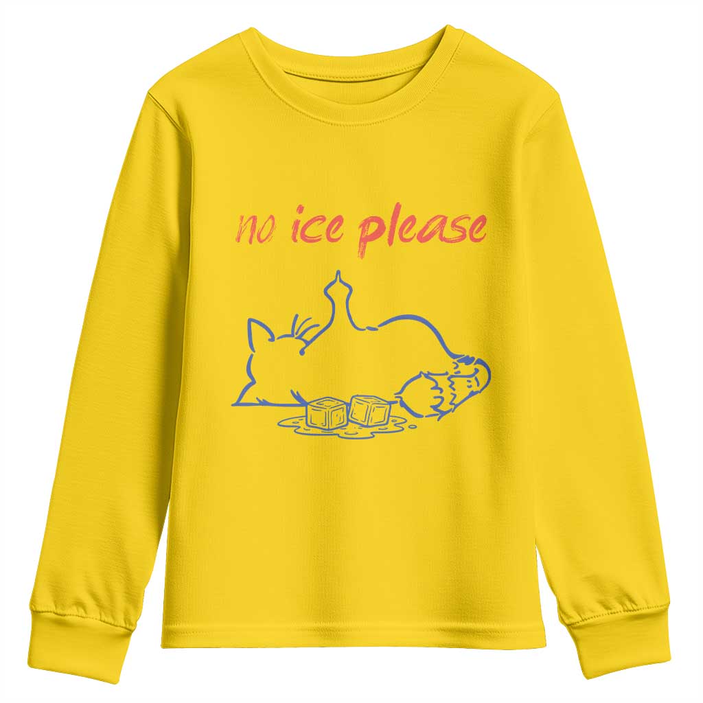 No Ice Please Youth Sweatshirt Funny Cat Anti ICE Deportation Human Rights TS14 Daisy Print Your Wear