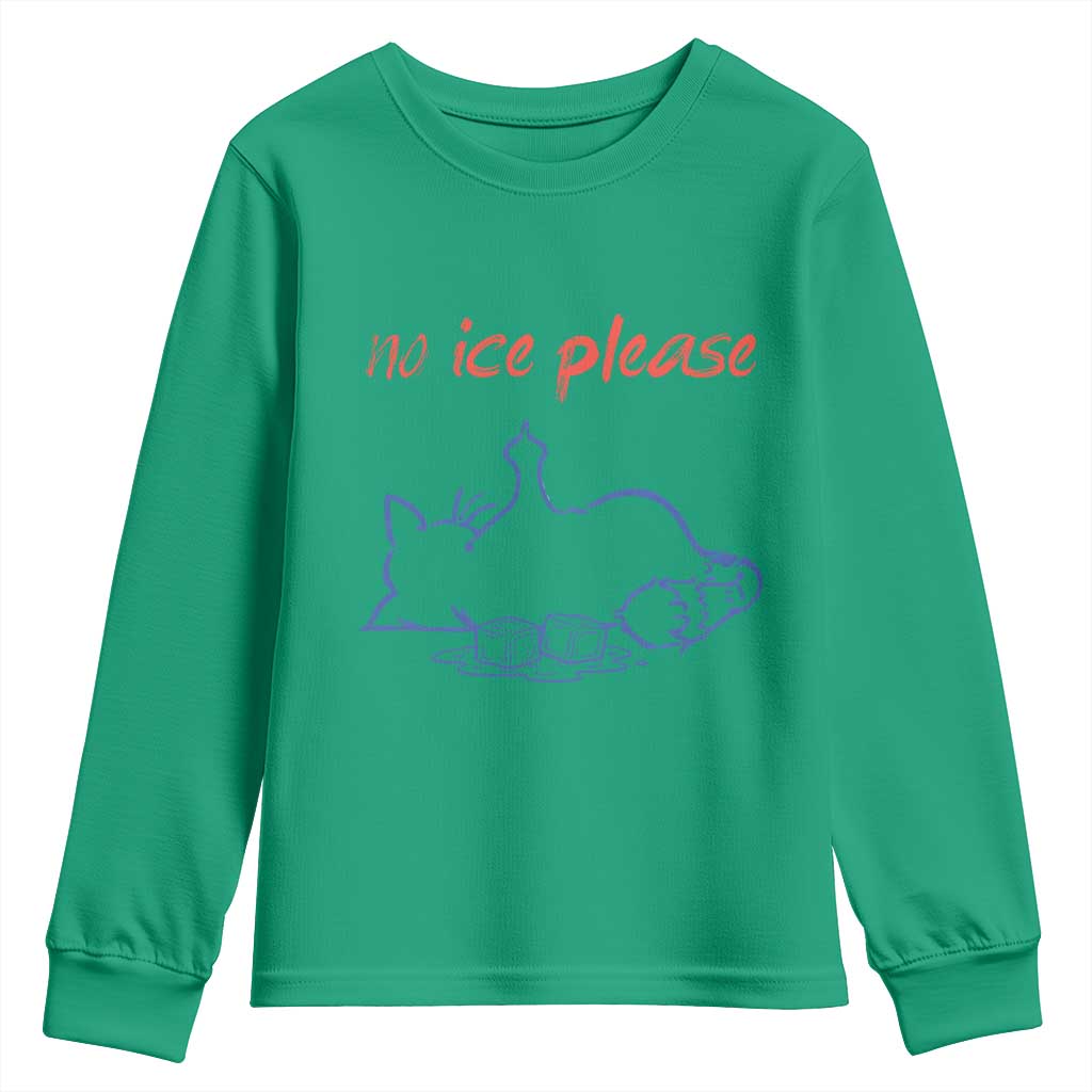 No Ice Please Youth Sweatshirt Funny Cat Anti ICE Deportation Human Rights TS14 Irish Green Print Your Wear