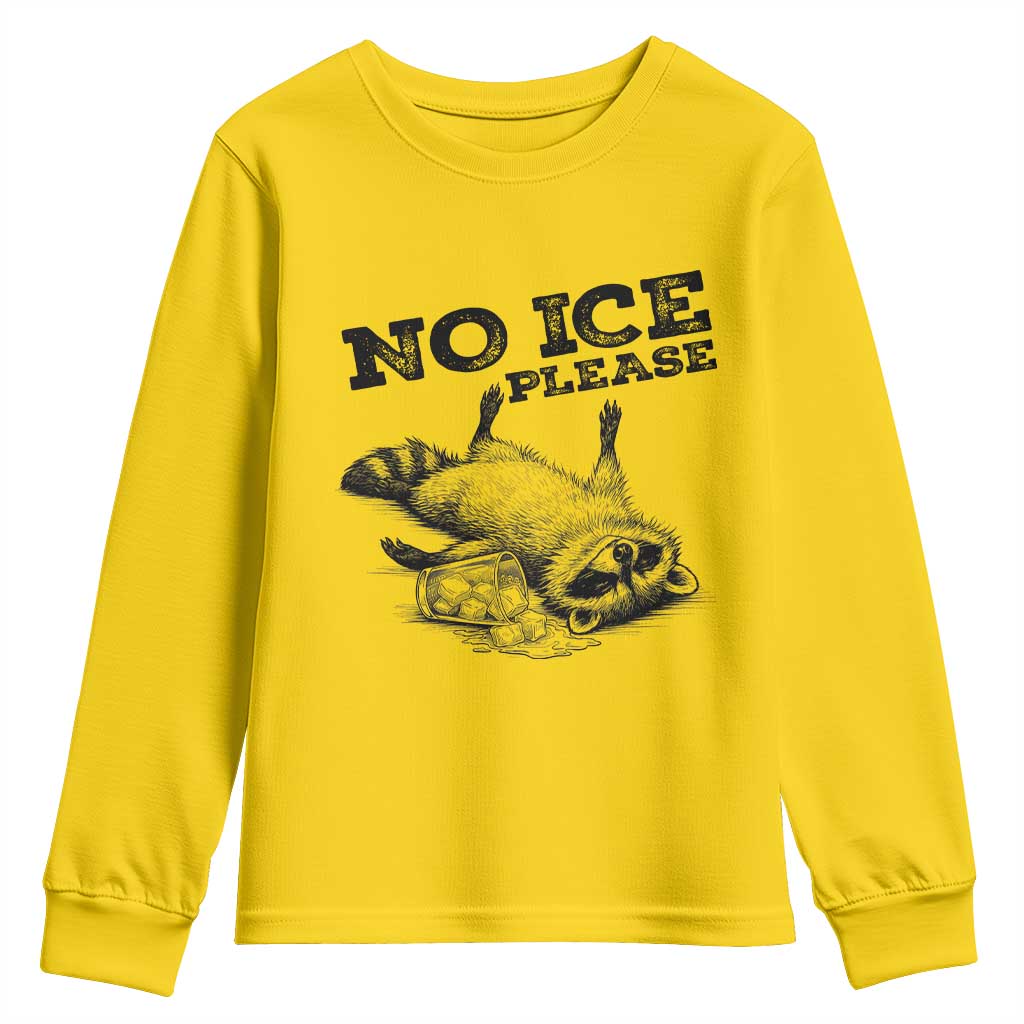 No Ice Please Youth Sweatshirt Funny Raccoon Anti ICE Deportation Human Rights TS14 Daisy Print Your Wear