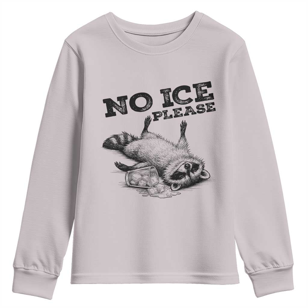 No Ice Please Youth Sweatshirt Funny Raccoon Anti ICE Deportation Human Rights TS14 Ice Gray Print Your Wear