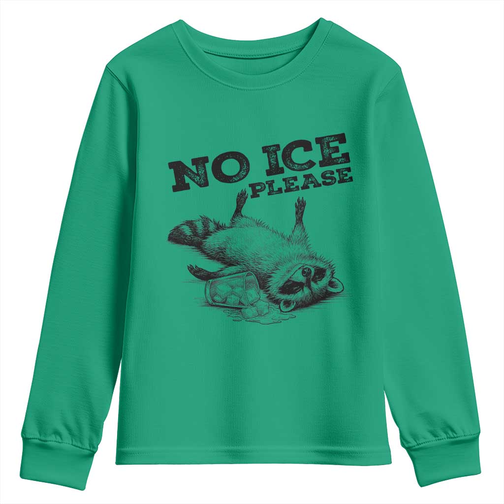 No Ice Please Youth Sweatshirt Funny Raccoon Anti ICE Deportation Human Rights TS14 Irish Green Print Your Wear