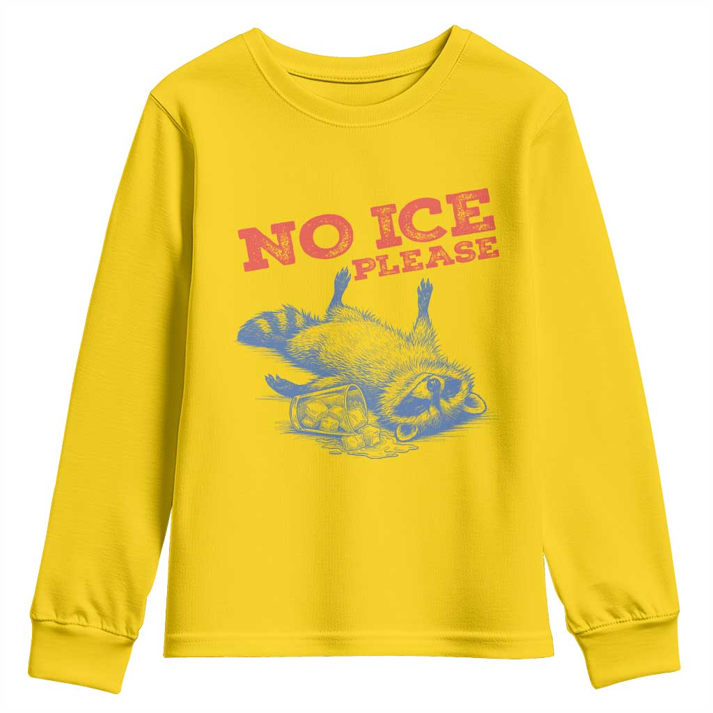 No Ice Please Youth Sweatshirt Funny Raccoon Trash Panda Anti ICE Meme TS14 Daisy Print Your Wear