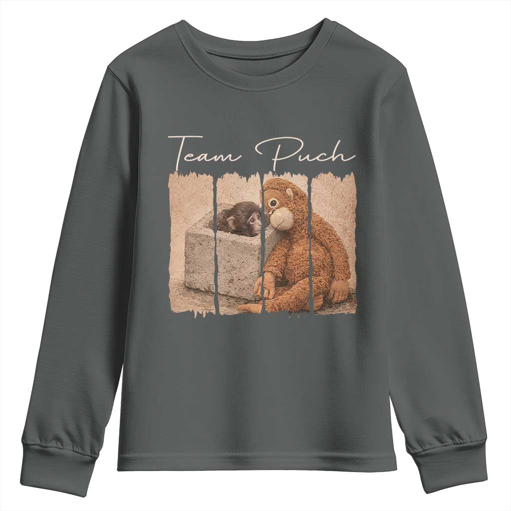 Team Punch Youth Sweatshirt Baby Monkey And Plush Toy Viral TS14 Dark Heather Print Your Wear