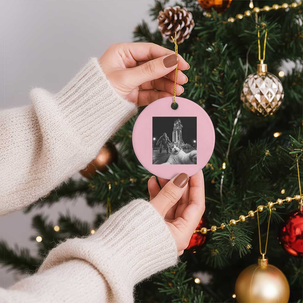 Funny Cat Selfie with Bigfoot Ceramic Ornament Back To The Moon Mission 2026 TS14 1pc Light Pink Print Your Wear