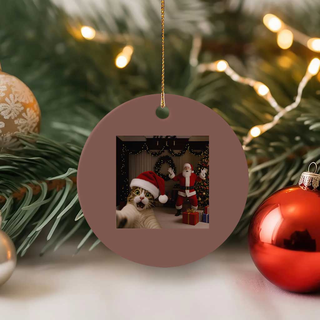 Funny Cat With Santa Selfie Christmas Ceramic Ornament TS14 1pc Mocha Print Your Wear
