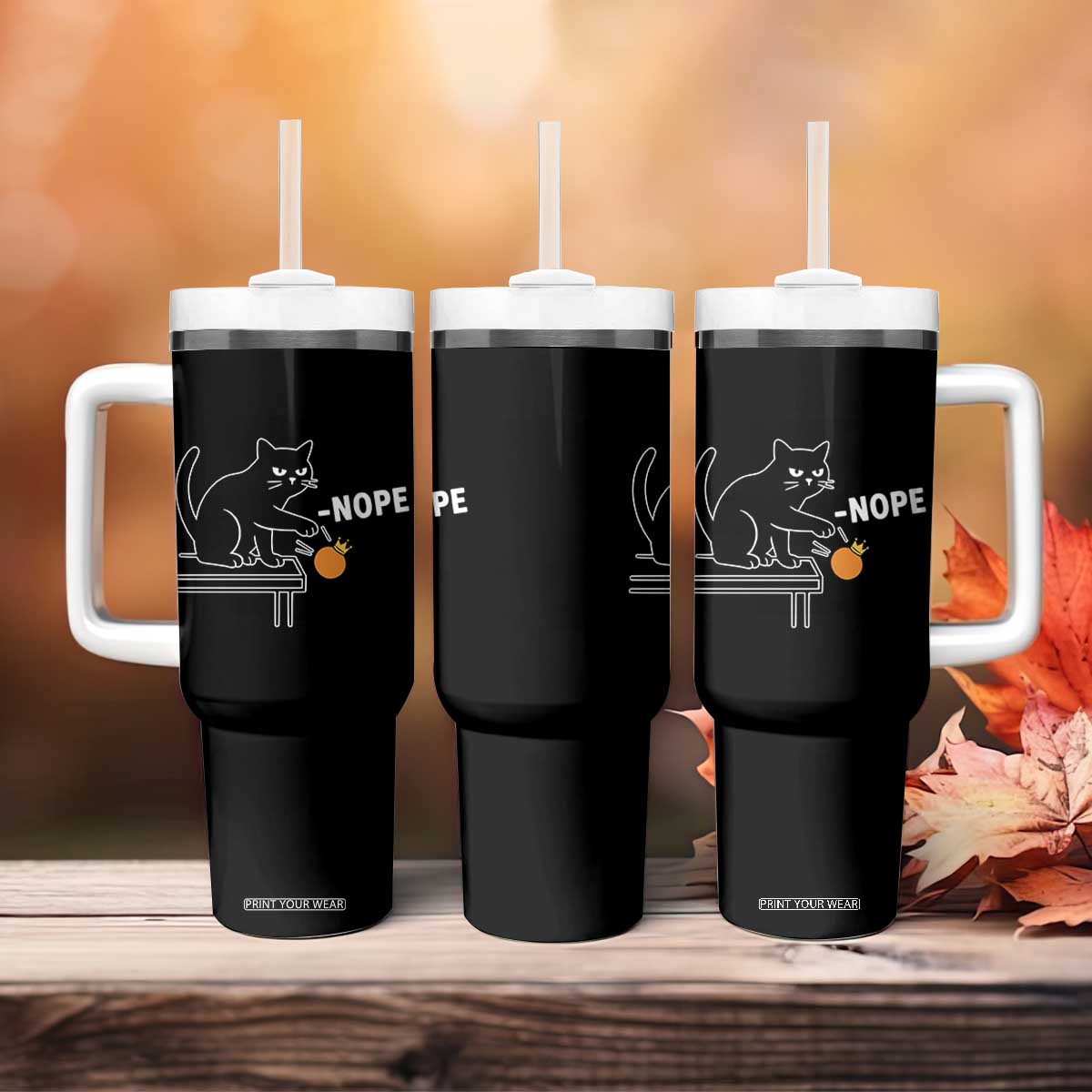 No Kings Protest Tumbler With Handle Funny Cat Kicking Crown TS14 Print Your Wear