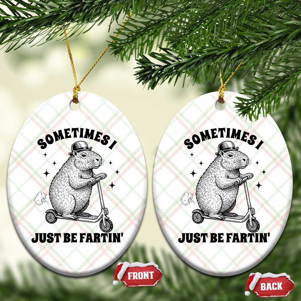 Funny Groundhog Scooter Ceramic Ornament Sometimes I Just Be Fartin TS14 Print Your Wear
