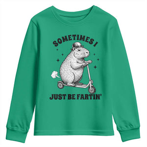 Funny Groundhog Scooter Youth Sweatshirt Sometimes I Just Be Fartin TS14 Irish Green Print Your Wear