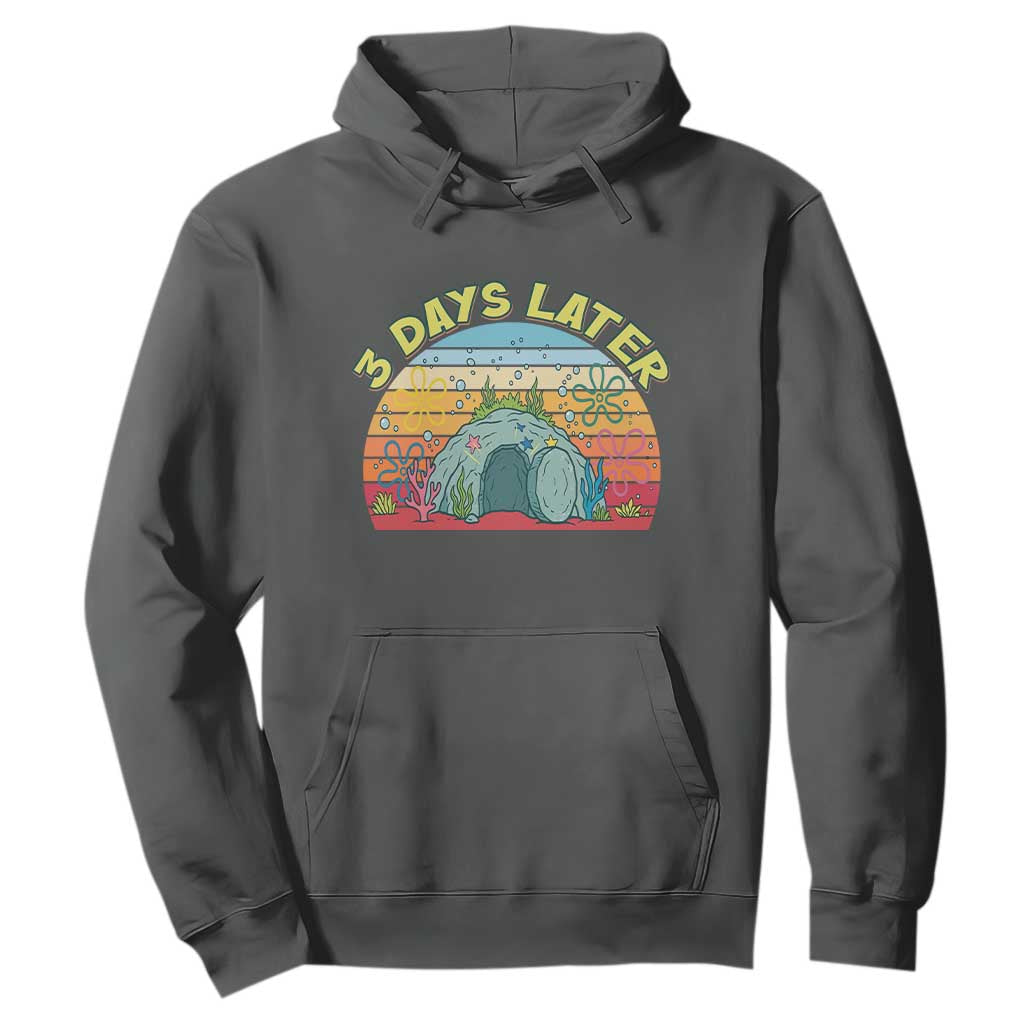 3 Days Later Christian Resurrection Hoodie Funny Easter Jesus Meme TS14 Dark Heather Print Your Wear
