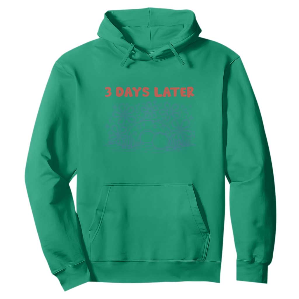3 Days Later Hoodie Funny Easter Jesus Christian Meme TS14 Irish Green Print Your Wear