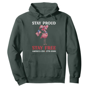 250 Years Anniversary Hoodie Flamingo 4Th Of July Patriotic USA Independence Flamerica