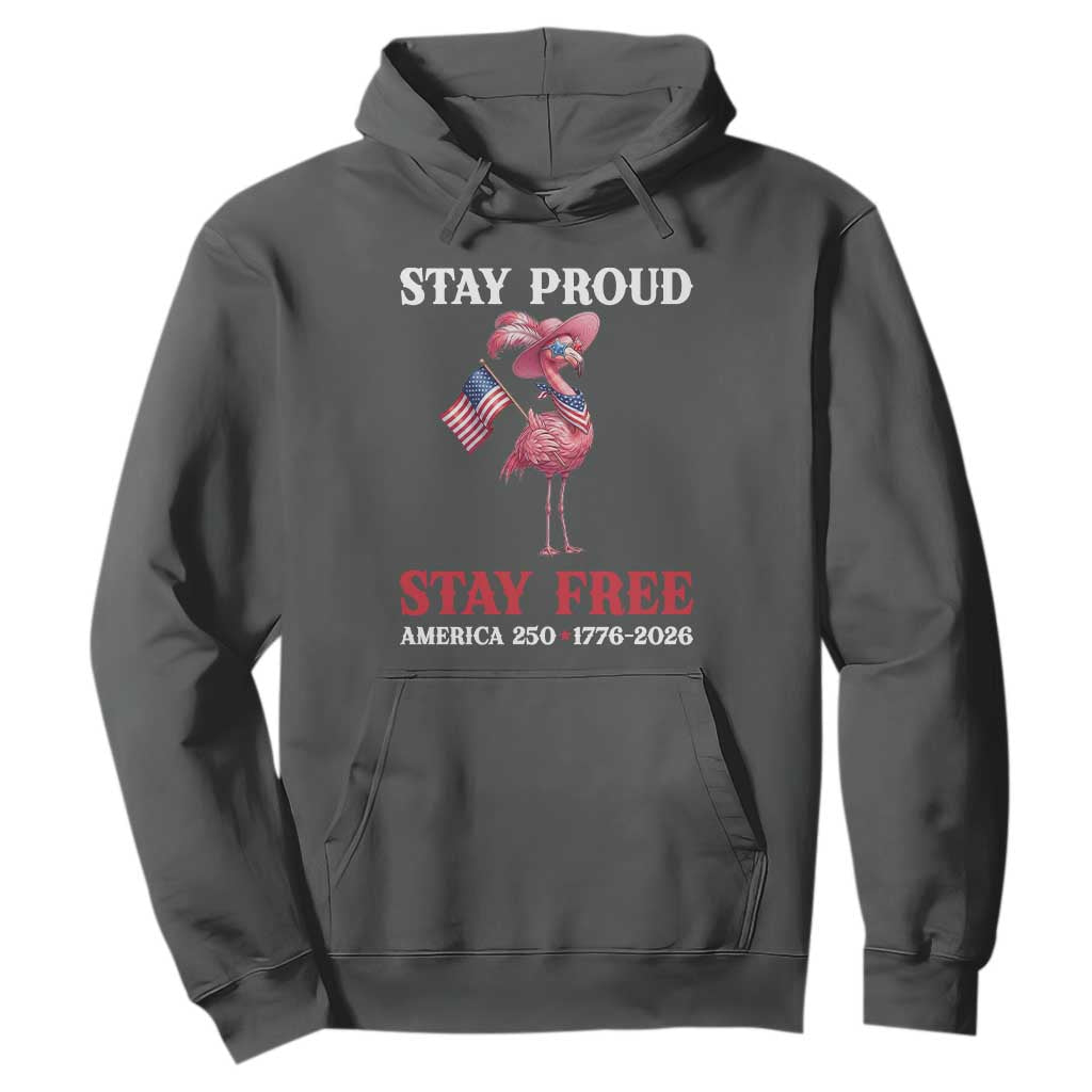 250 Years Anniversary Hoodie Flamingo 4Th Of July Patriotic USA Independence Flamerica