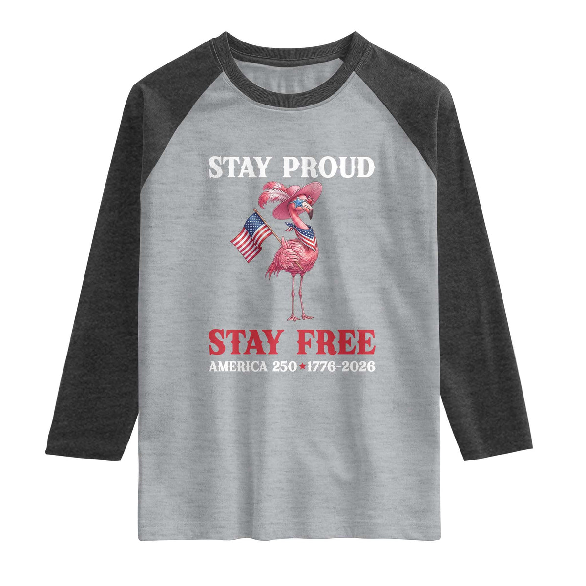 250 Years Anniversary Raglan Shirt Flamingo 4Th Of July Patriotic USA Independence Flamerica TS14 Heather Gray Heather Charcoal Print Your Wear
